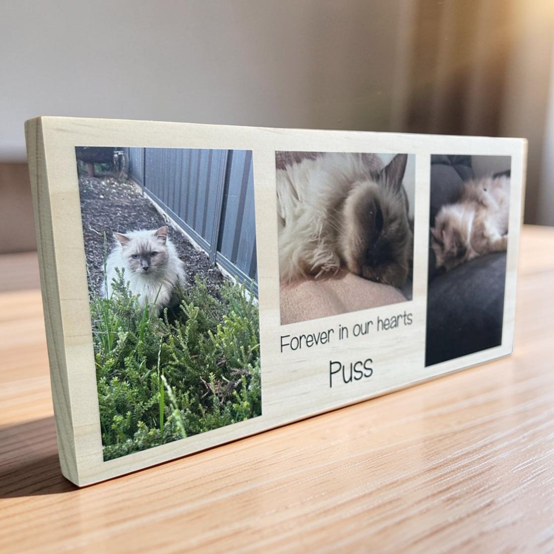 pet memorial photo block