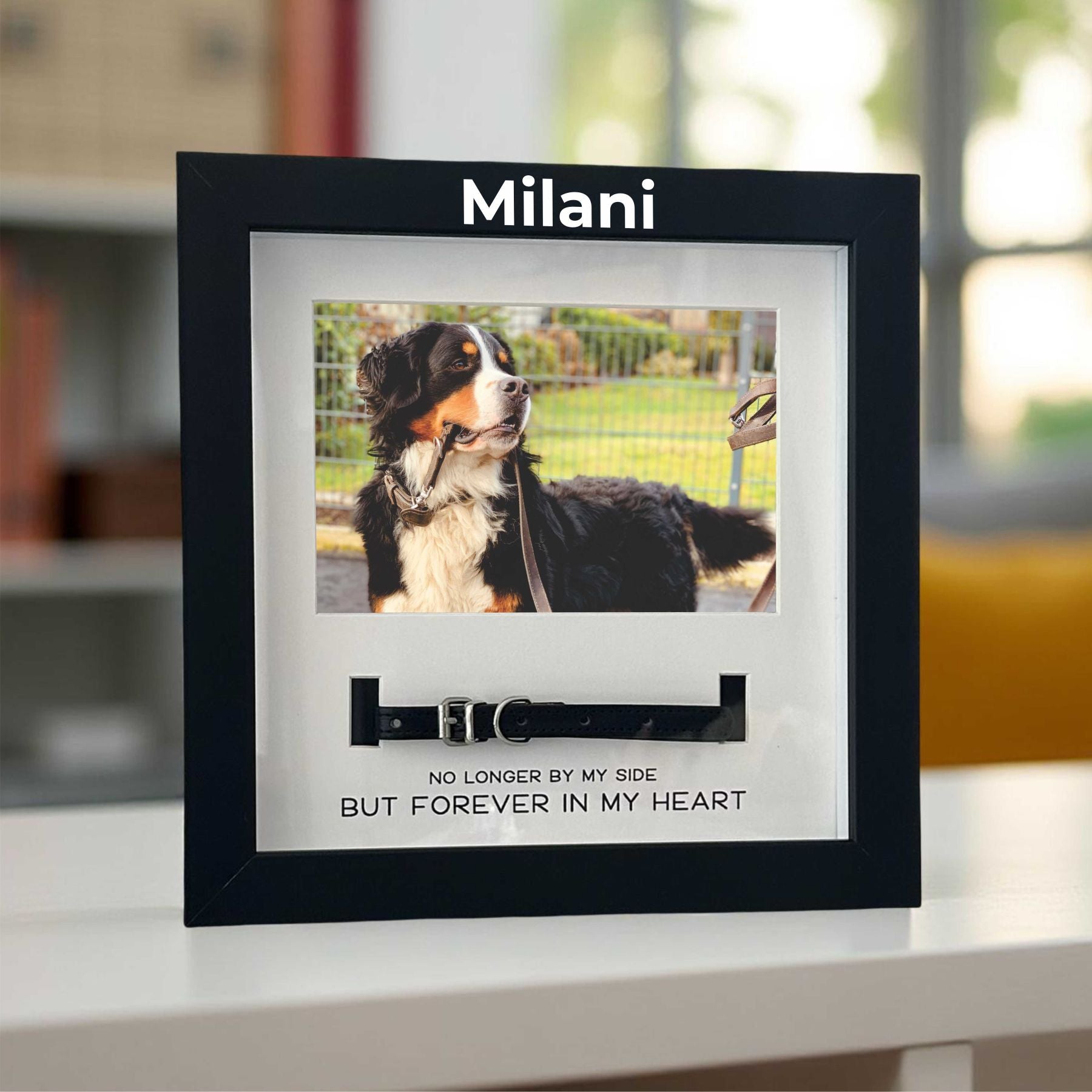 pet-memorial-frame-with-collar