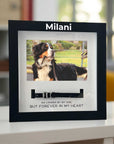 pet-memorial-frame-with-collar