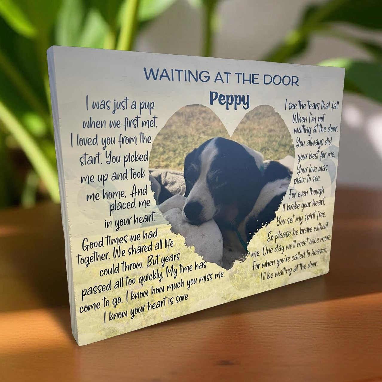 pet-memorial-photo-block