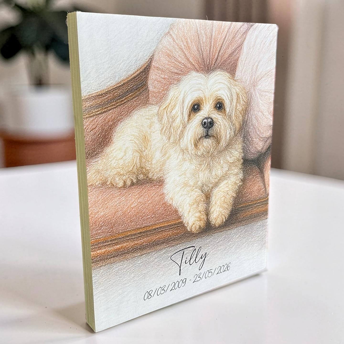 Pet portrait