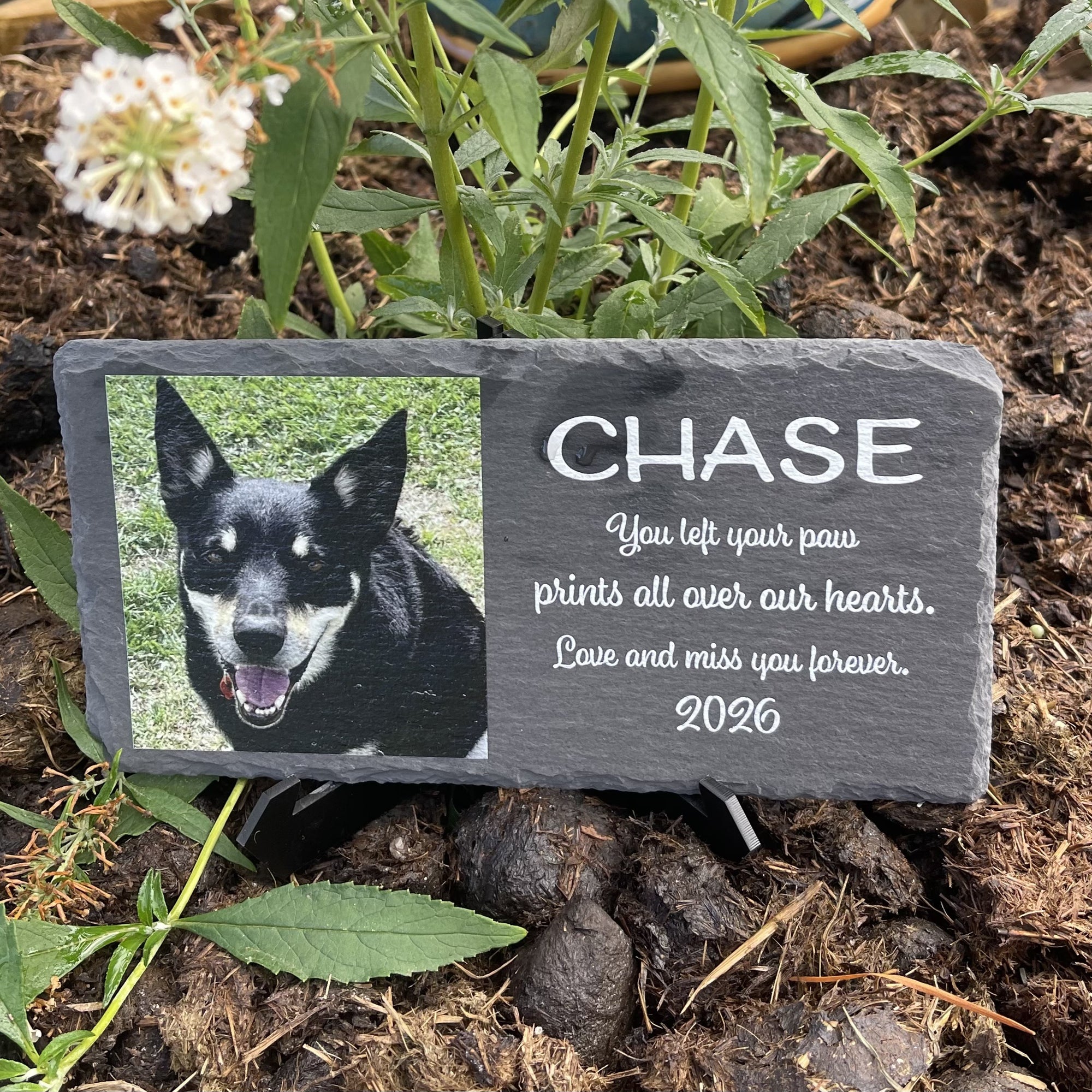 pet grave marker