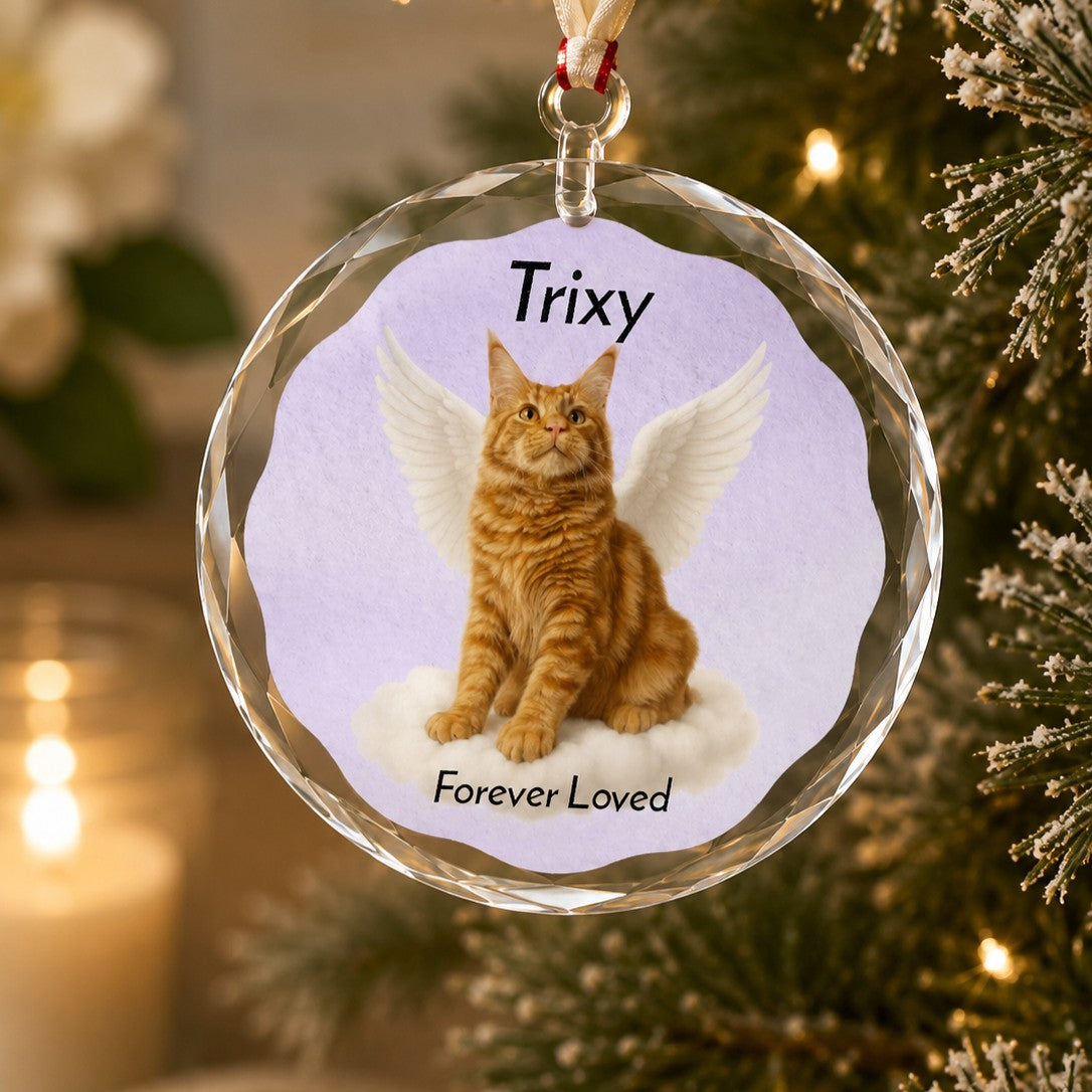 crystal pet memorial ornament with velvet bag or gift box