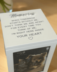 pet-ash-box