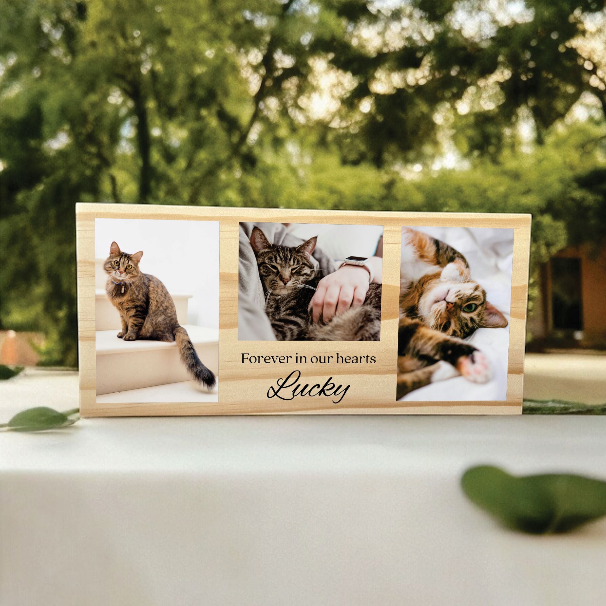 personalised pet memorial wood block with photos