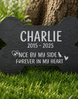 pet burial sone