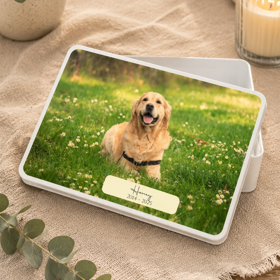 pet keepsake box