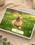 pet keepsake box