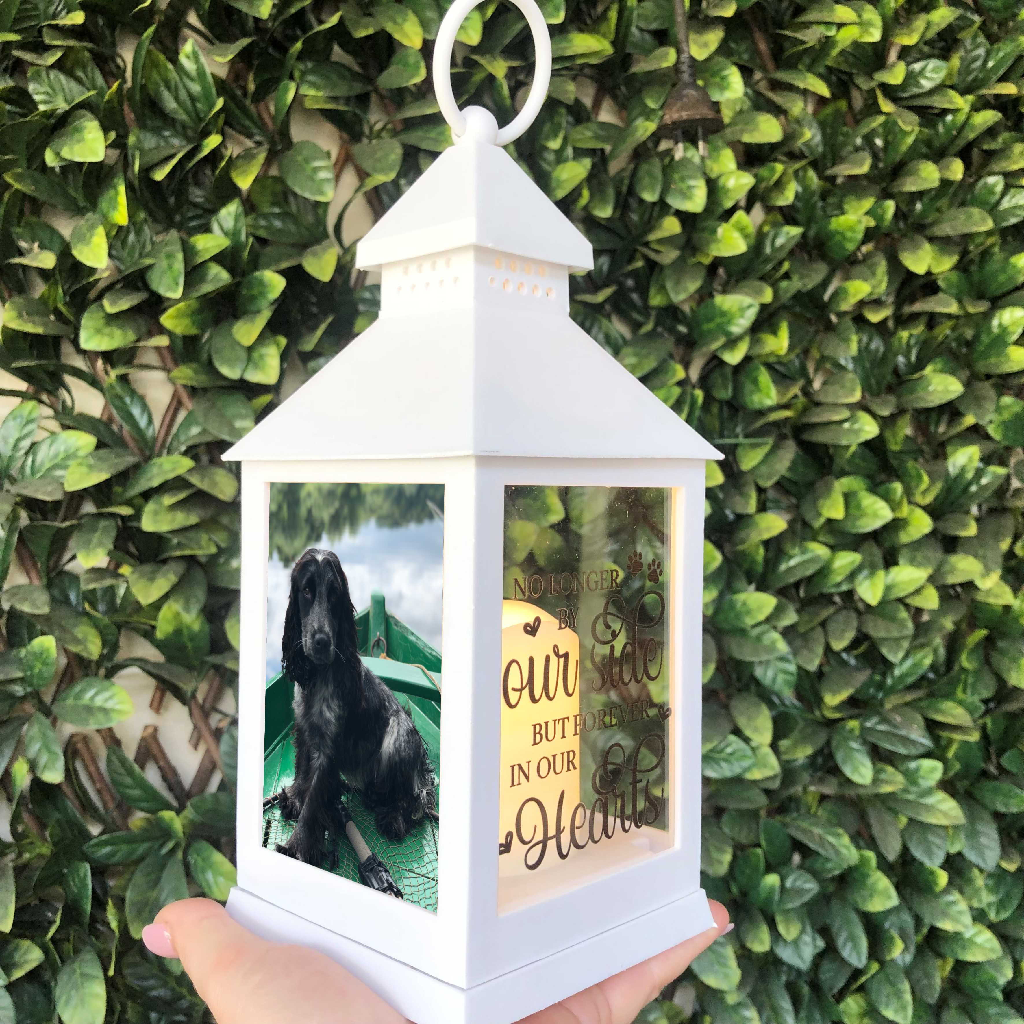 Pet Lantern 3 Sided