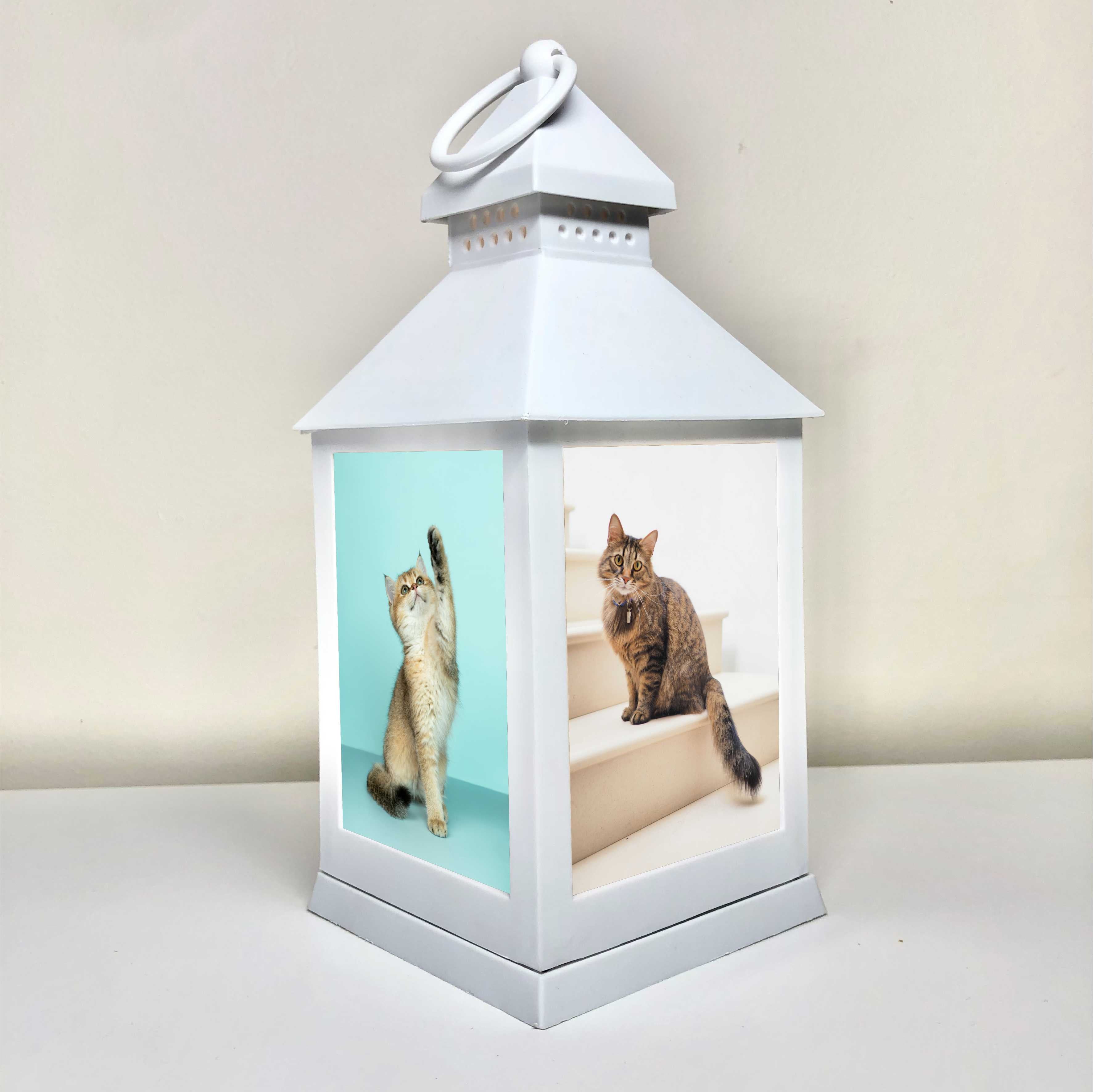 Pet Memorial Lantern 4 Sided