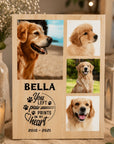 pet memorial photo gift