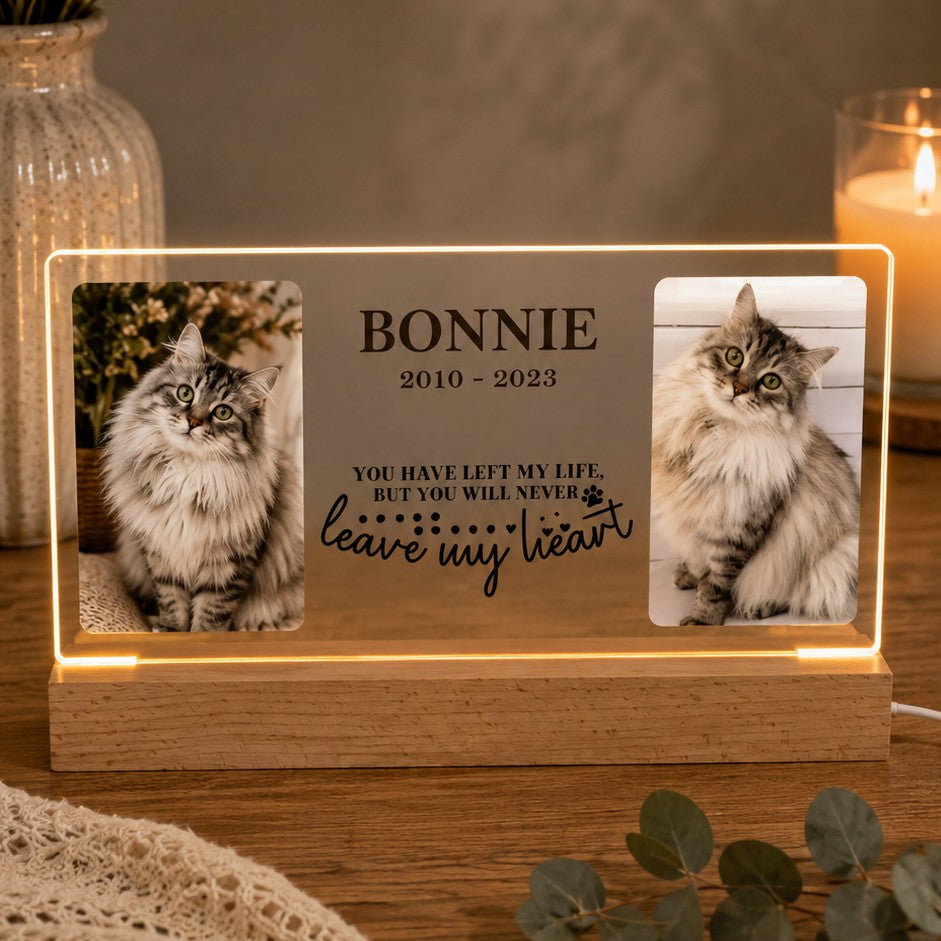 cat memorial light