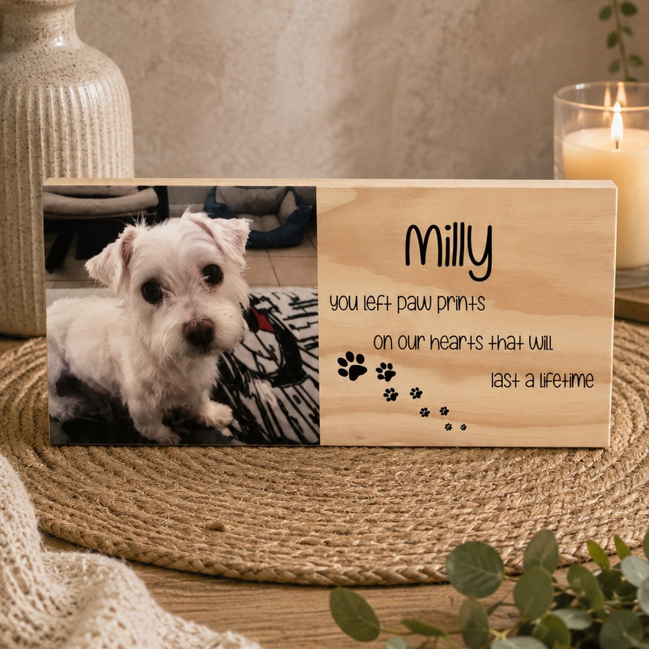 pet memorial sympathy gift