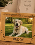pet sympathy gift