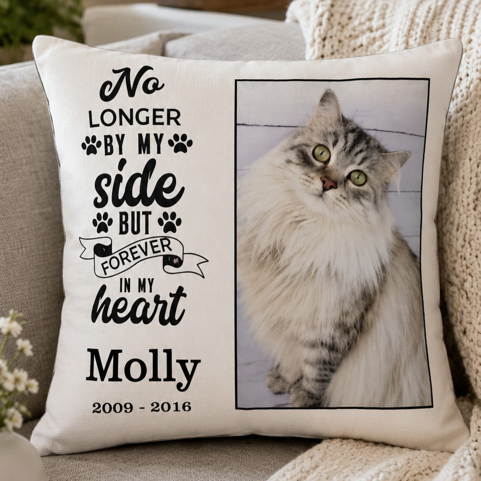 memorial cat cushion