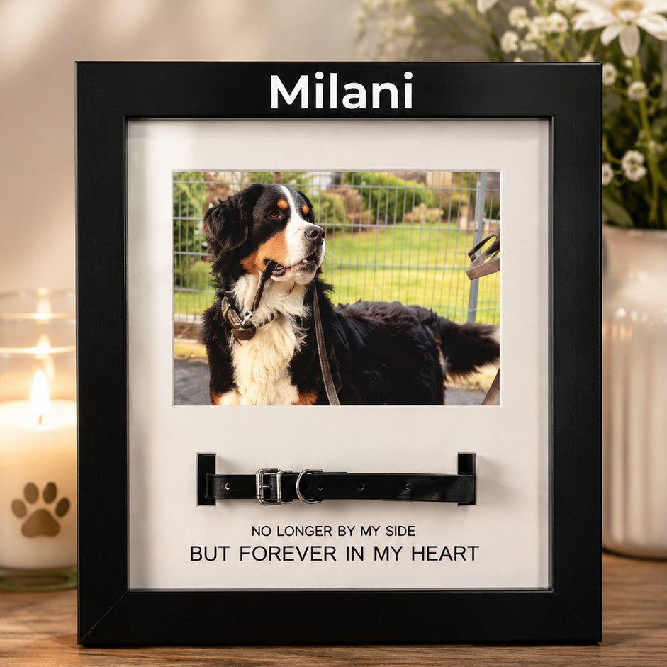 pet collar frame