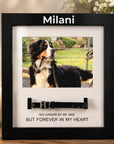 pet collar frame