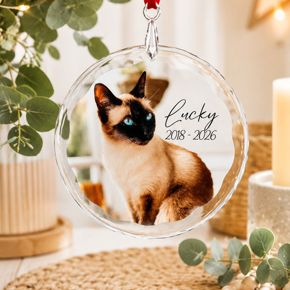 Personalised crystal pet memorial ornament featuring photo, name and memorial dates custom remembrance keepsake