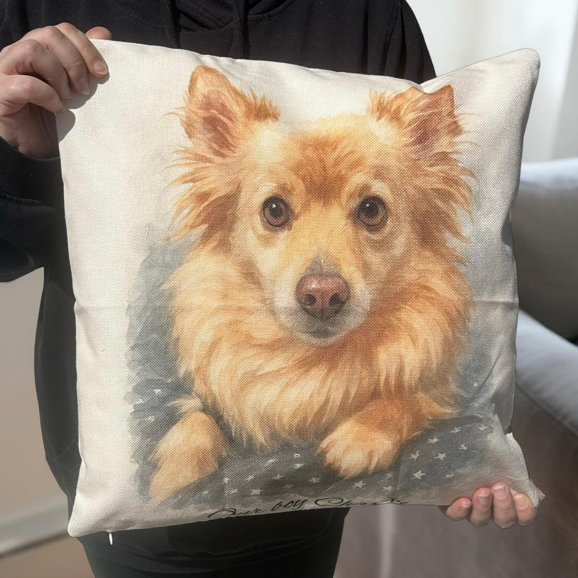 pet-memorial-pillow