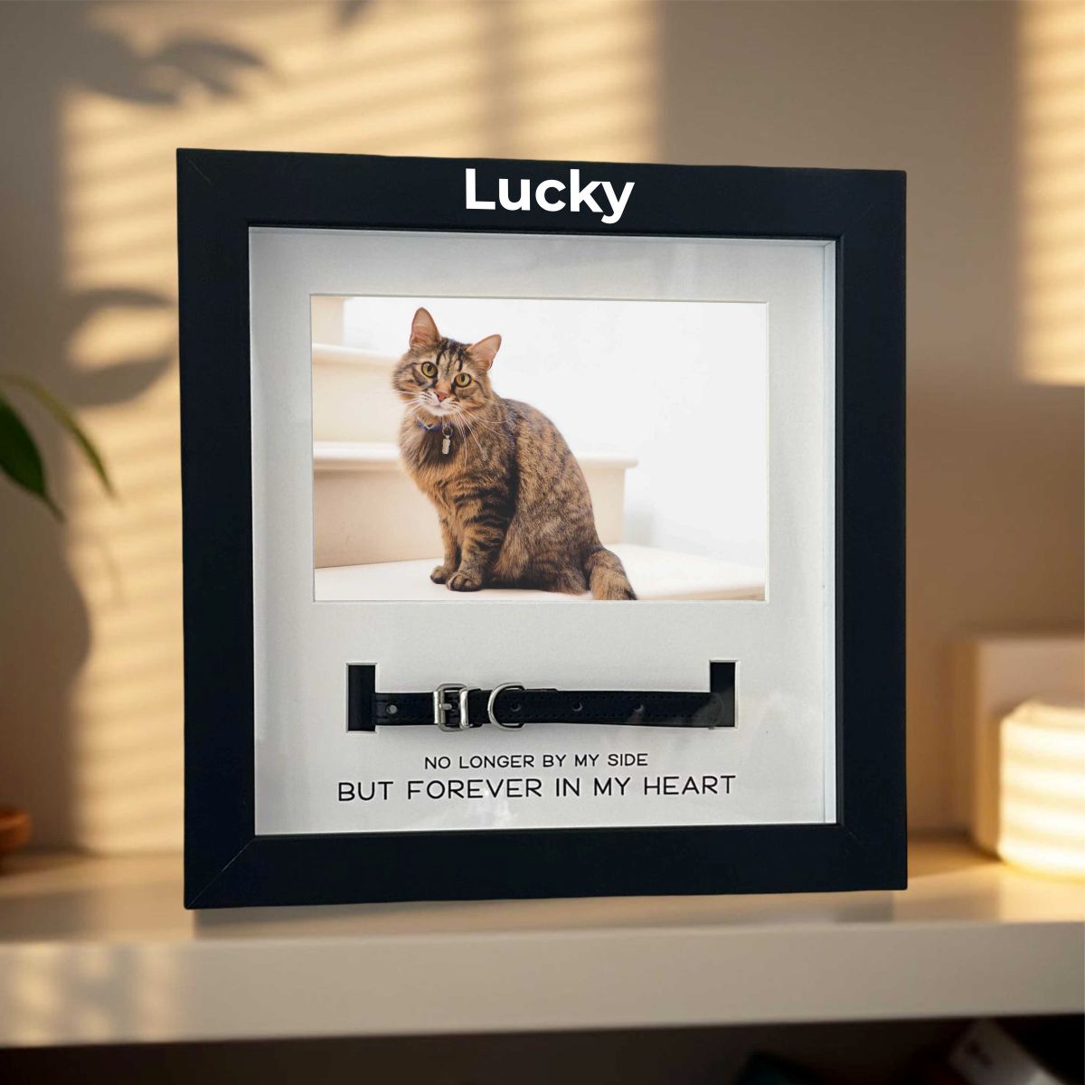 pet-memorial-shadow-box