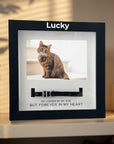 pet-memorial-shadow-box