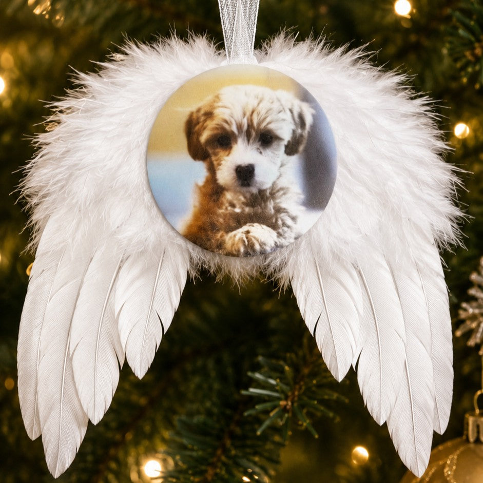 pet ornament with angel feathers