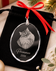 Personalised Engraved Crystal Pet Photo Ornament