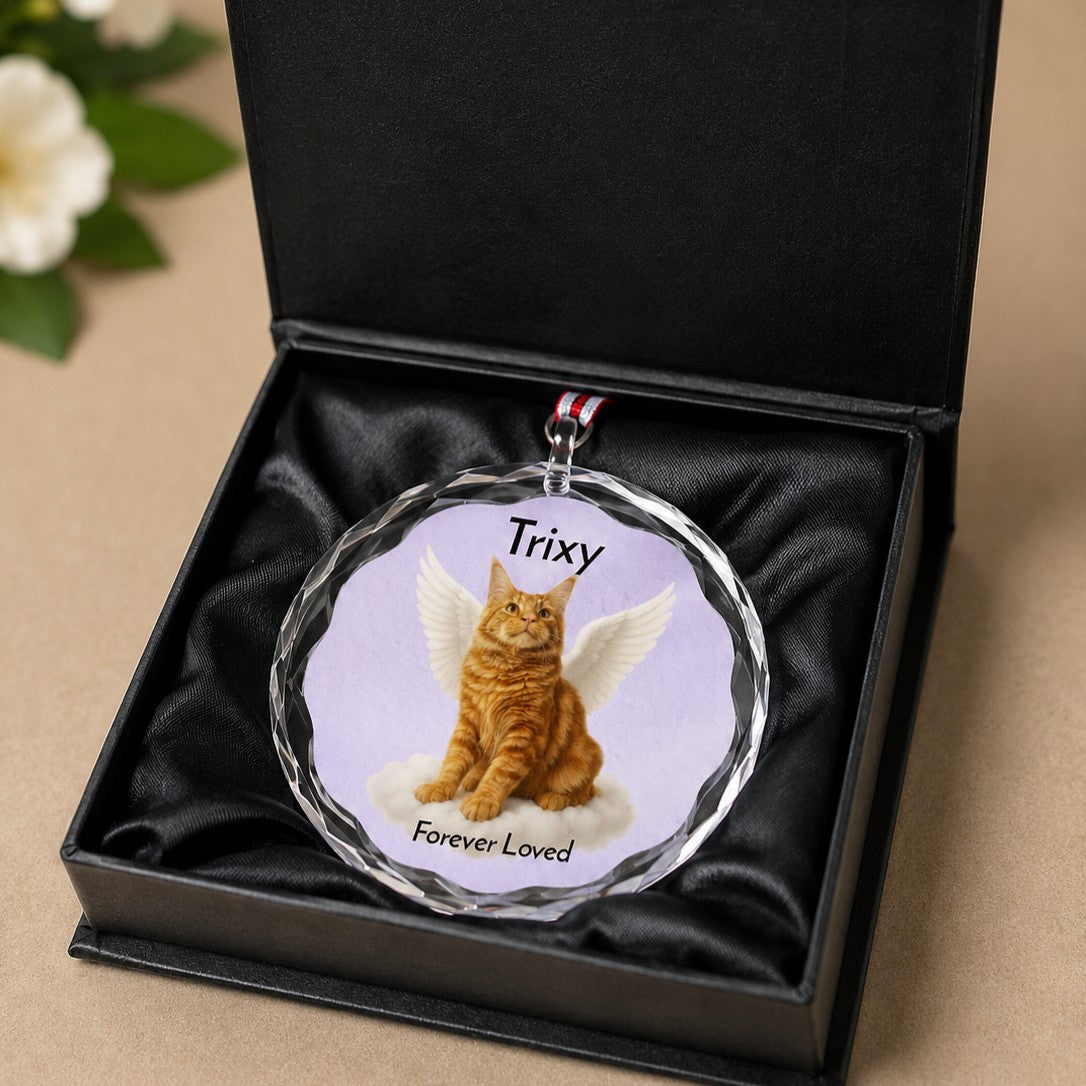 crystal pet memorial ornament with velvet bag or gift box