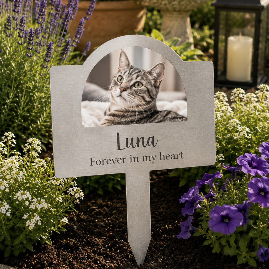 cat burial plaque