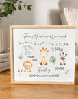 Personalised Safari Birth Announcement Box
