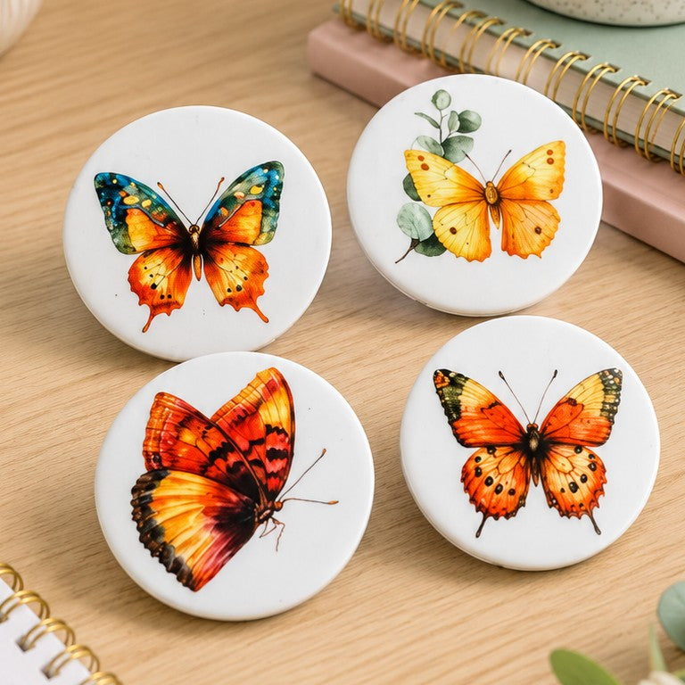 butterfly magnets for teacher