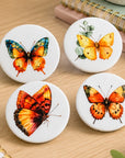 butterfly magnets for teacher