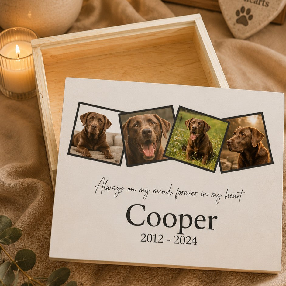 dog memorial box