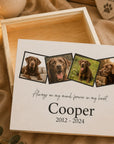 dog memorial box